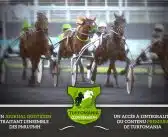 Turfomania : Meilleur partenaire pour gagner plus souvent aux courses pmu + Concurrents et alternatives