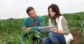 Où travailler avec un diplôme obtenu dans le domaine de l’environnement