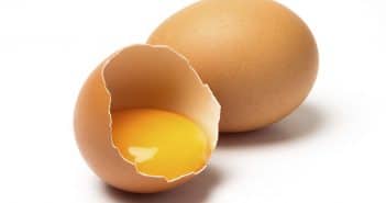 meilleurs œufs