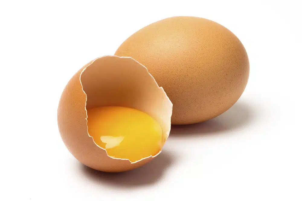 meilleurs œufs