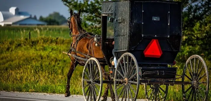 amish