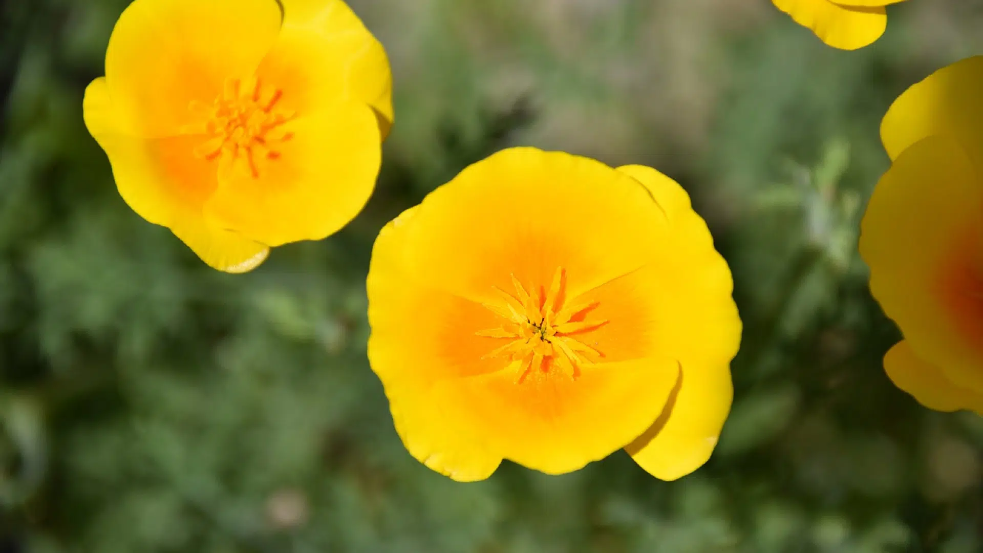 Le marketing olfactif peut être très pertinent pour votre société