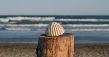 L'île de Ré : l'évasion parfaite pour des vacances mémorables en camping !